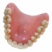 Dentsply Sirona SHADED (MONOCOLOUR) PMMA TOOTH SHADE Crown and Denture Teeth Discs - 20 x 98mm - 1pc - Shade Options Available