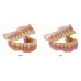 Kulzer DIMA Print Resin - Denture Teeth 1000g - Shade Options Available