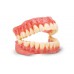 Kulzer DIMA Print Resin - Denture Base 1000g - Shade Options Available