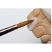 Renfert Kolinsky Ceramic Brushes (Natural Bristles - Red Sable) - 17131008 - No.8 Building Up - 1 Pack (2pcs)