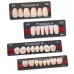 Kulzer PREMIUM Anteriors / MONDIAL Posteriors Acrylic Teeth Assortment Intro Case 66058142 - Shades: A2/A3/A3.5 - 48 Ants/36 Posts - Cardboard Display Case / Plastic Draws - LIMITED OFFER NEW USERS ONLY 1 Per Customer Only - SPECIAL ORDER INDENT