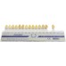 Wright SENATOR Acrylic Teeth (3 Layer) - 1 Card (Classic Moulds - Value Range)